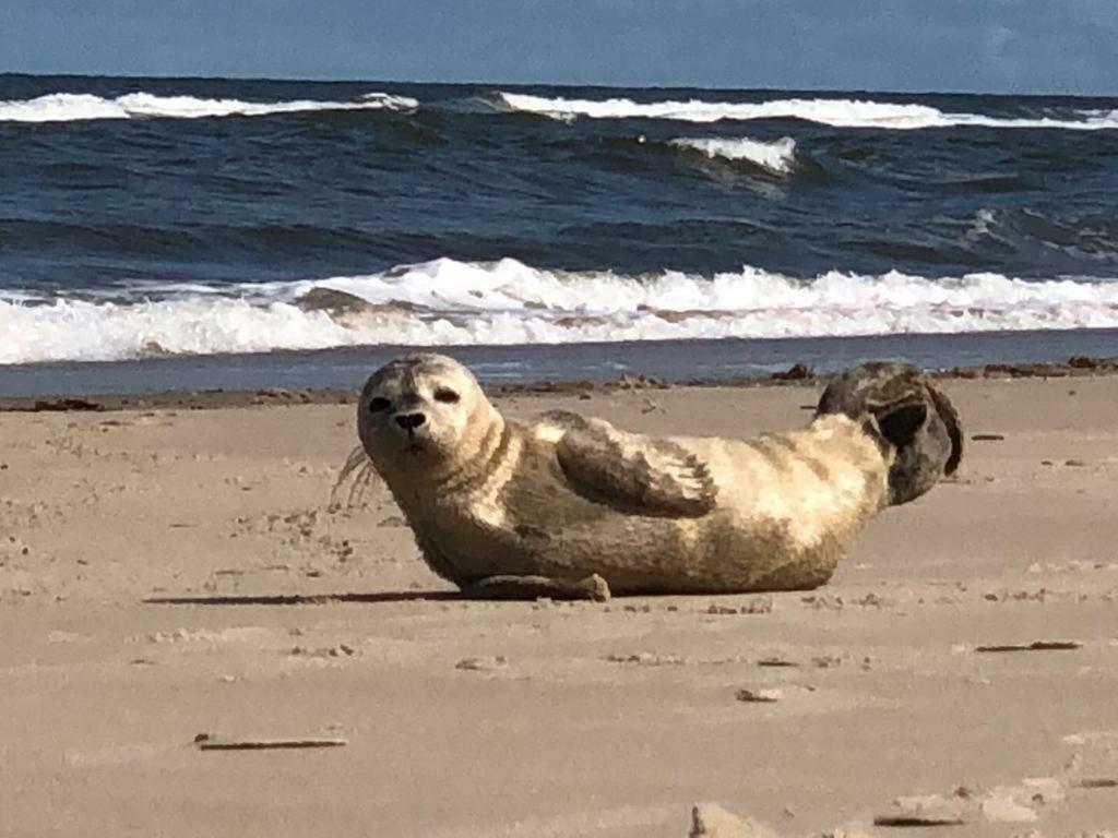 Meerzeit Norderney Eksteriør bilde
